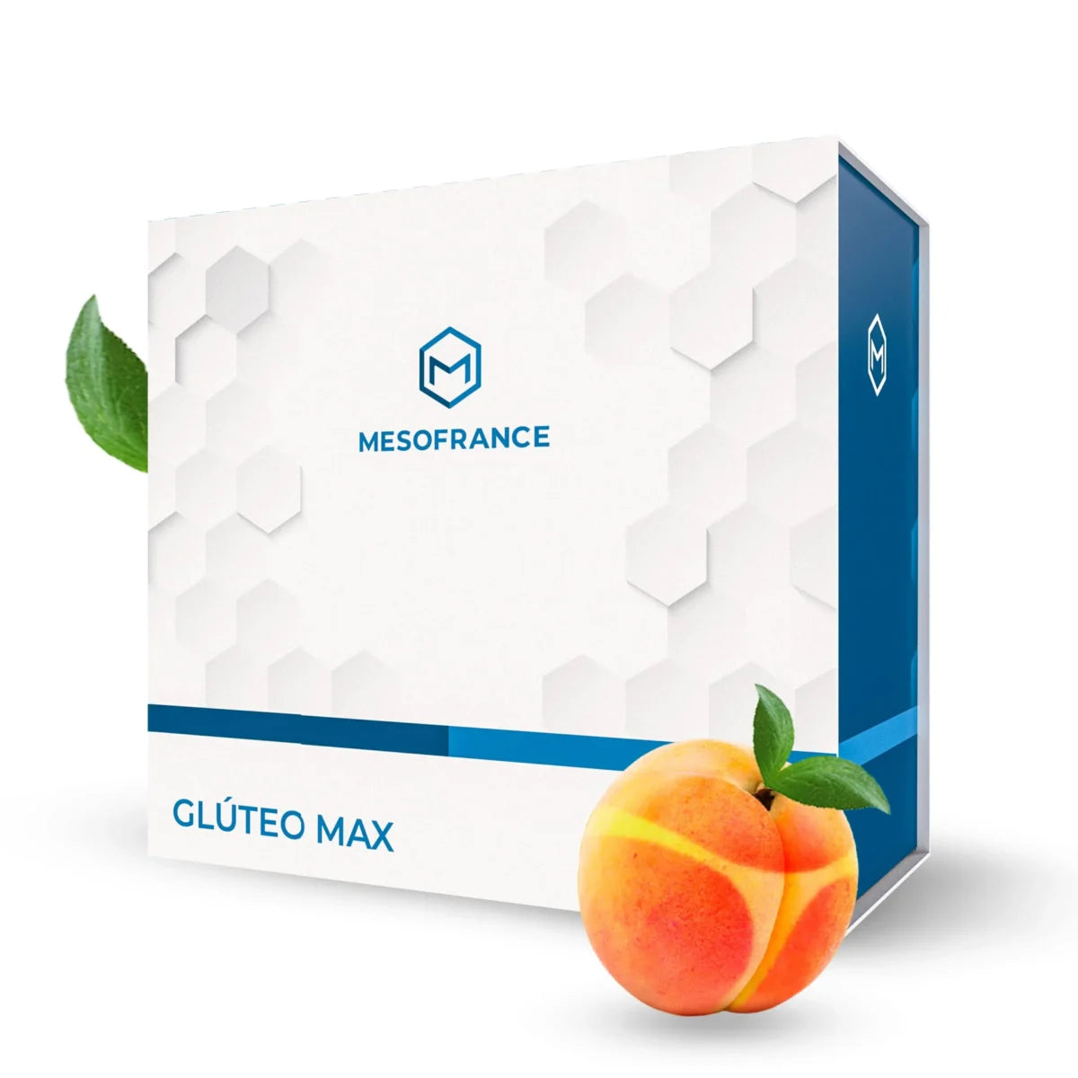 Glúteo-Max-Mesofrance