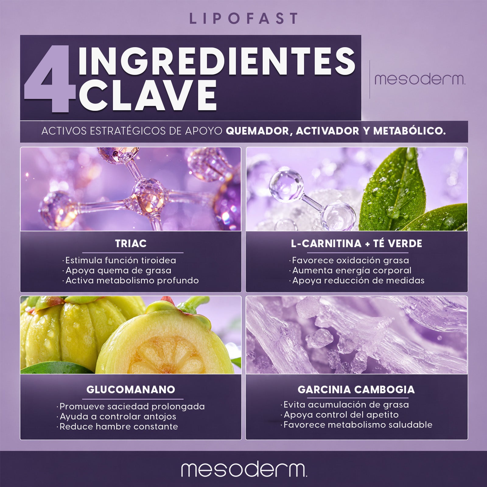 Lipofast Cápsulas Mesoderm