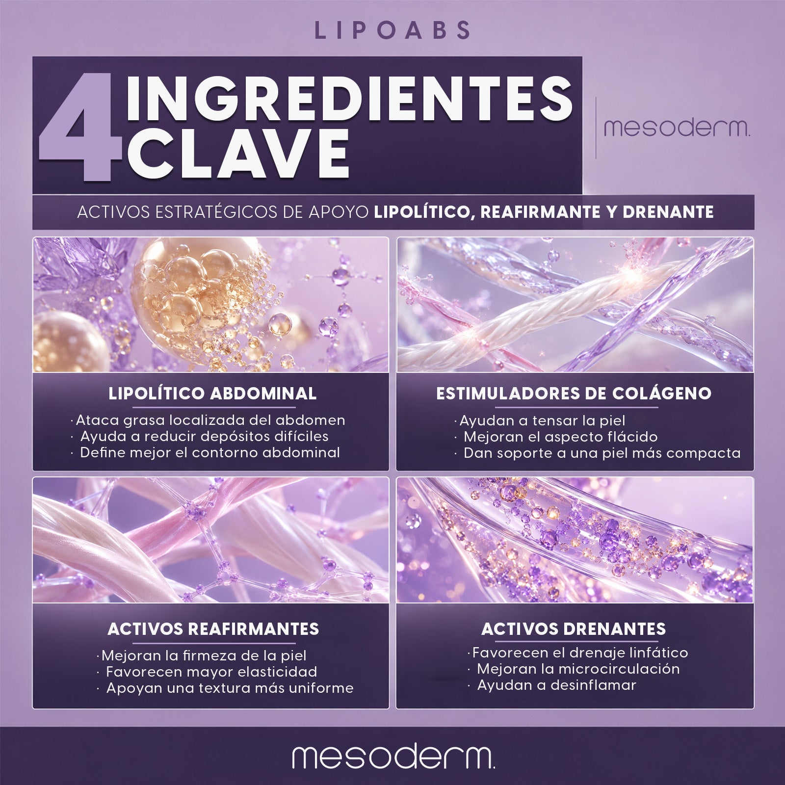 Lipoabs Mesoderm