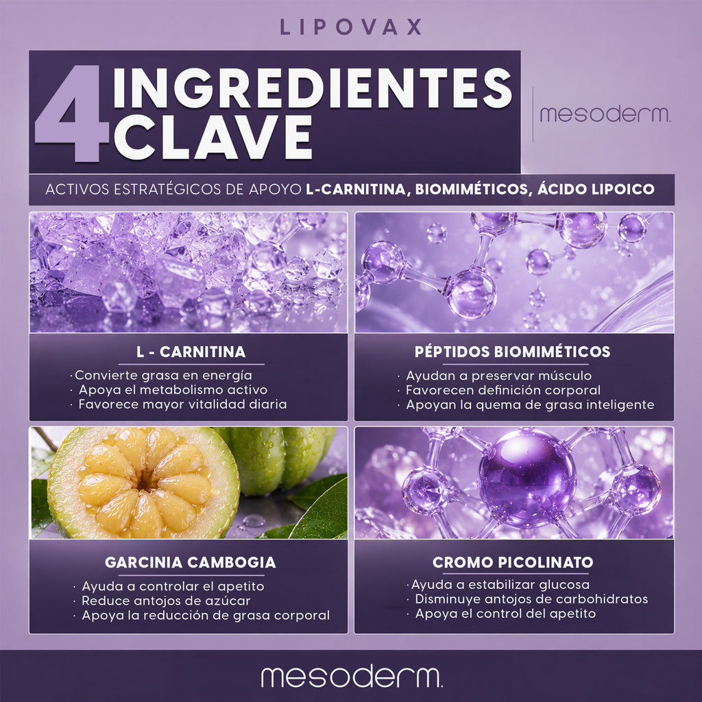 Lipovax Mesoderm