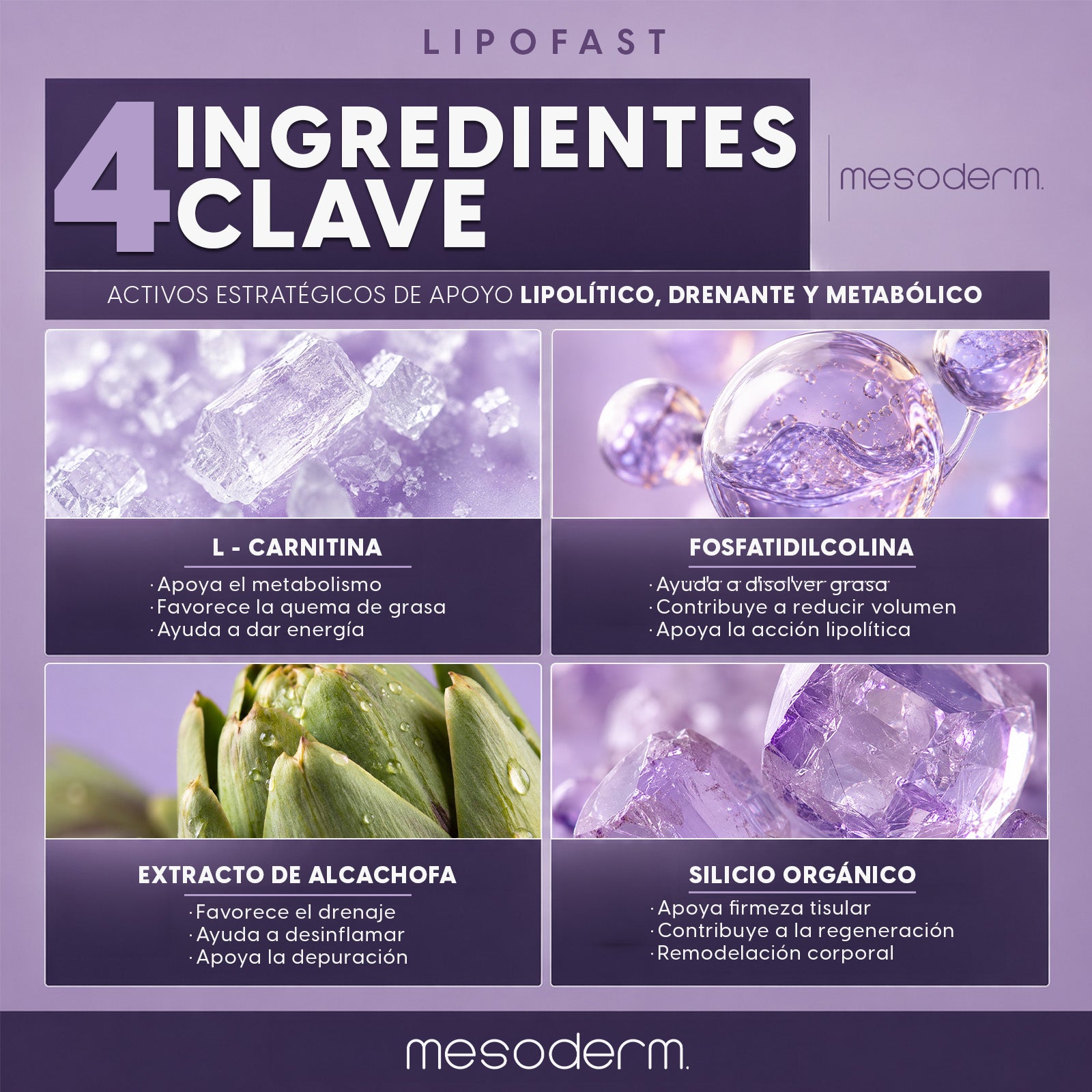 LIPOFAST® Mesoderm