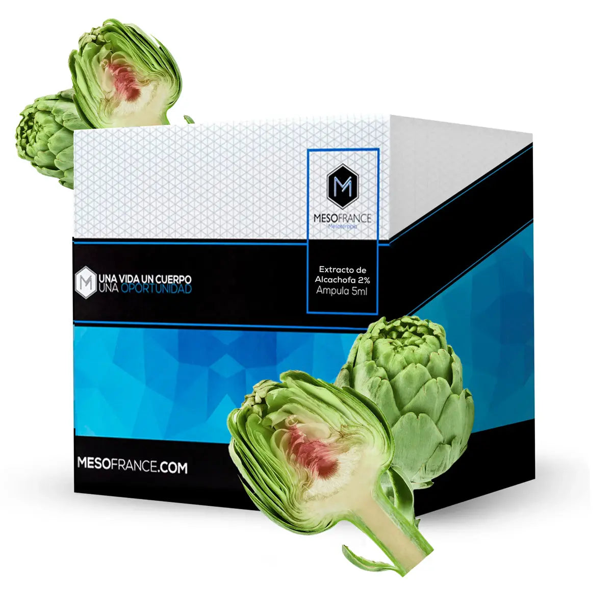 Extracto-de-alcachofa-Mesofrance